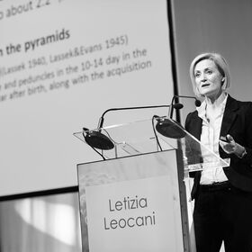 Letizia Leocani