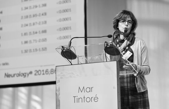 Faculty16_Tintore M