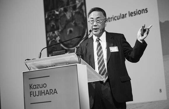 Fujihara_K_2018_David plas 168831